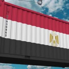 GOEIC Egypt Certificate of inspection ( COI )