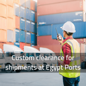 Custom clearance for shipments at Egypt ports 300